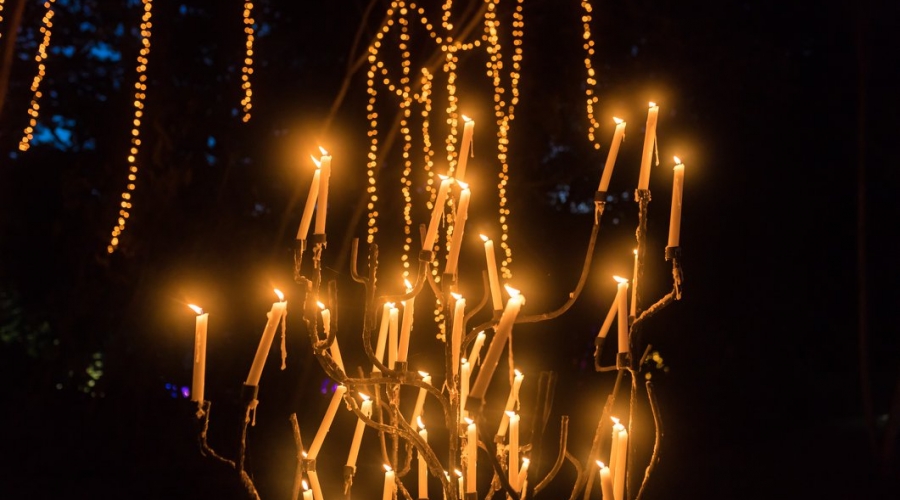 2018安利_澳大利亚之旅