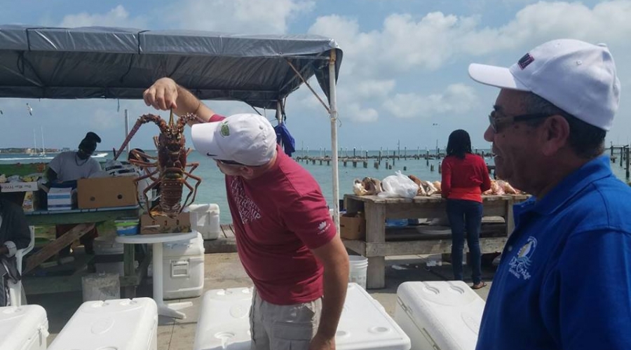 2017 耶格系统巴哈马群岛~邮轮度假（二）