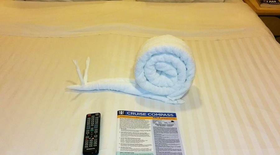 2017 耶格系统巴哈马群岛~邮轮度假（四）