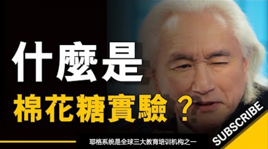 《什么是棉花糖实验？ 》耶格系统