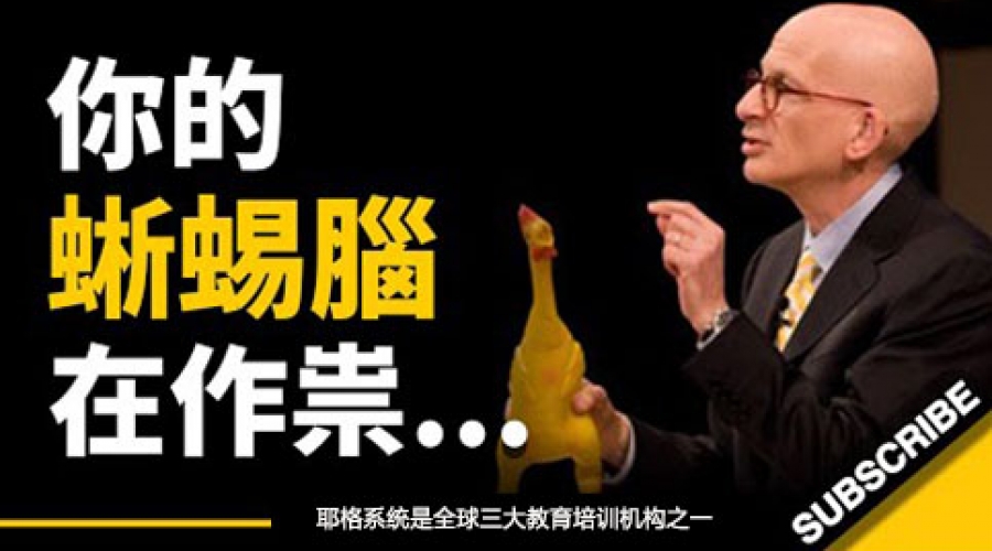 《为什么我们经常感到力不从心？那是你的蜥蜴脑在作祟...》耶格系统